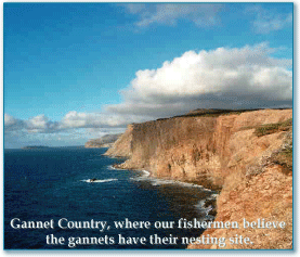 Gannet Country